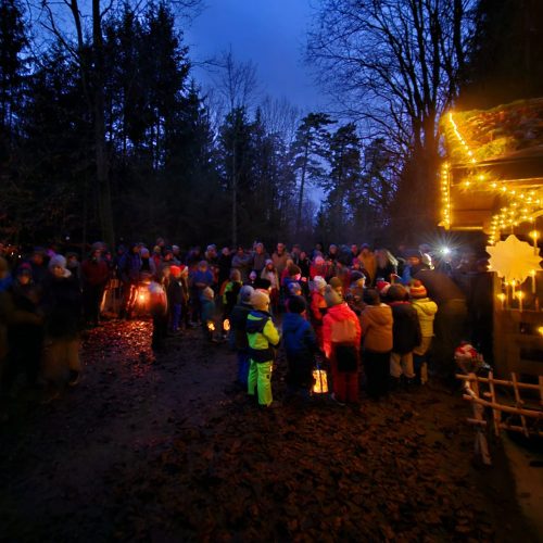 2025_waldweihnacht_5